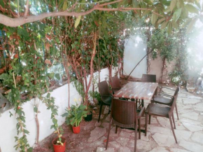 Ezgihouse